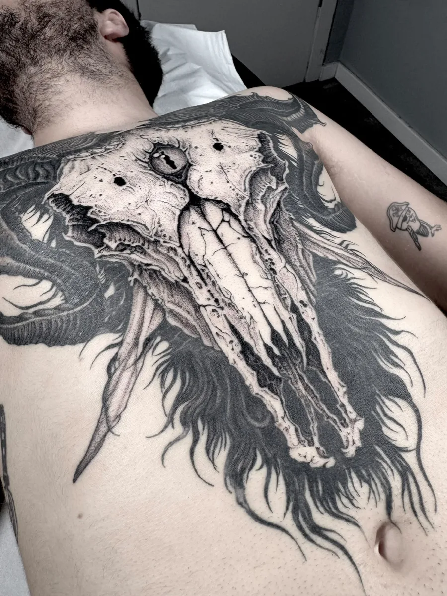 Detalle del cráneo de carnero en blackwork y puntillismo, tatuaje de pecho en Santos Castelldefels